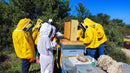 Primo Corso di Apicoltura Professionale nella Riserva Naturale di Torre Guaceto