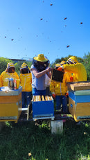 Primo Corso di Apicoltura Professionale nella Riserva Naturale di Torre Guaceto