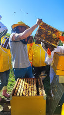 Primo Corso di Apicoltura Professionale nella Riserva Naturale di Torre Guaceto