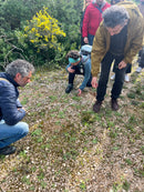Primo Corso di Apicoltura Professionale nella Riserva Naturale di Torre Guaceto