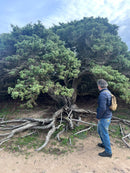 Primo Corso di Apicoltura Professionale nella Riserva Naturale di Torre Guaceto