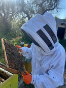 Miele di Puglia ® Biologico di Agrumi