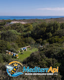 Apis mellifera Ligustica Certificata - MediterrApi | Agricola Sifè