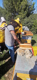 Primo Corso di Apicoltura Professionale nella Riserva Naturale di Torre Guaceto